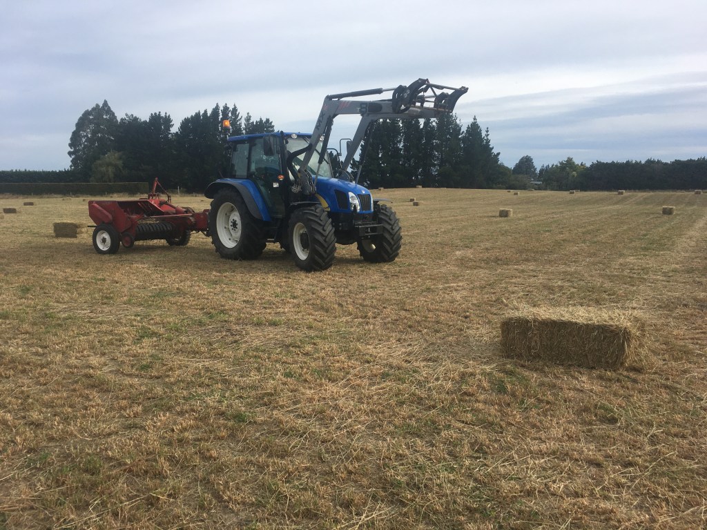 New Holland tractor creating hay bales in west melton